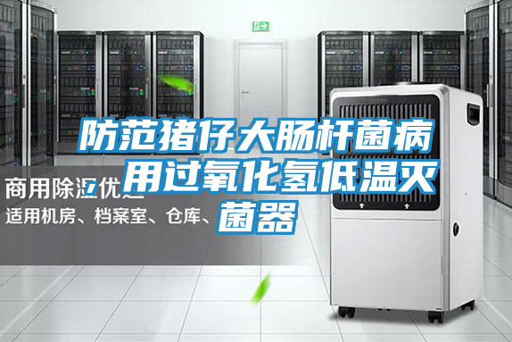 防范猪仔大肠杆菌病,用过氧化氢低温灭菌器