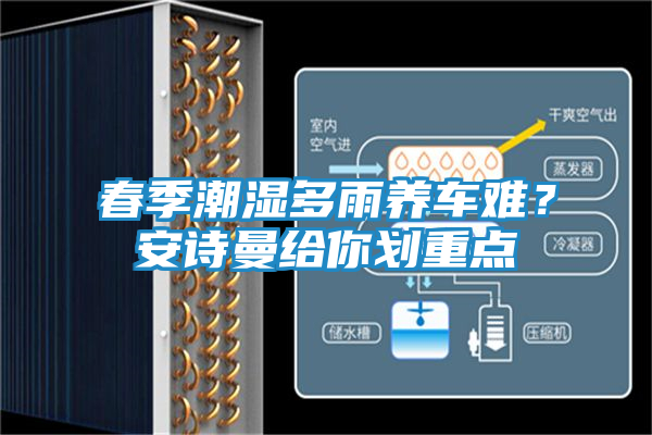 春季潮湿多雨养车难？安诗曼给你划重点