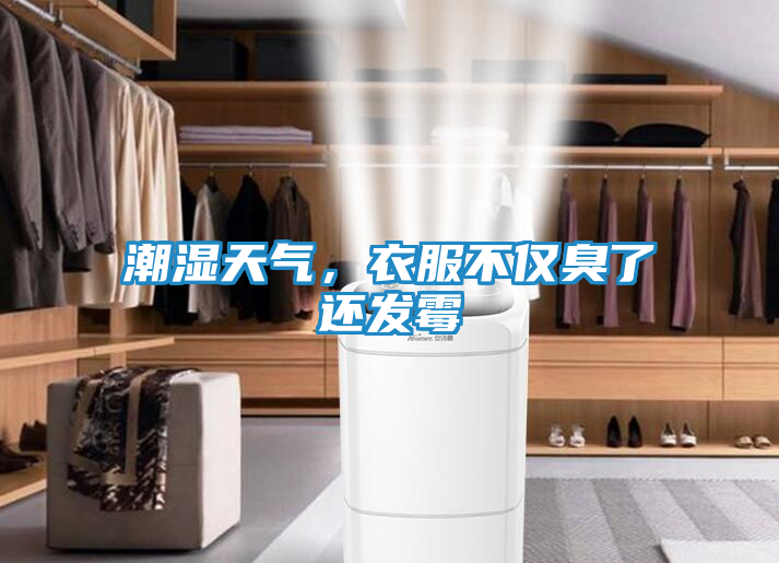 潮湿天气，衣服不仅臭了还发霉