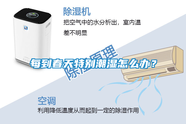 每到春天特别潮湿怎么办?
