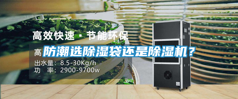 防潮选除湿袋还是除湿机？
