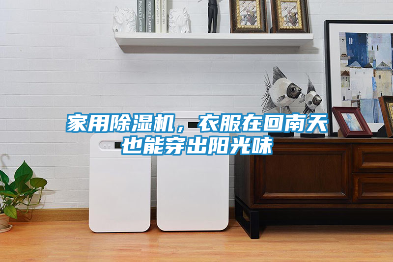 家用除湿机，衣服在回南天也能穿出阳光味