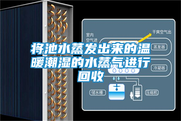 将池水蒸发出来的温暖潮湿的水蒸气进行回收