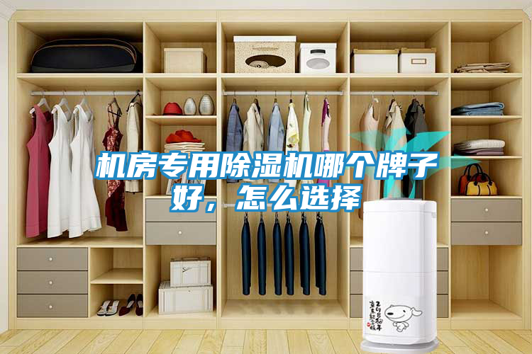 机房专用除湿机哪个牌子好，怎么选择