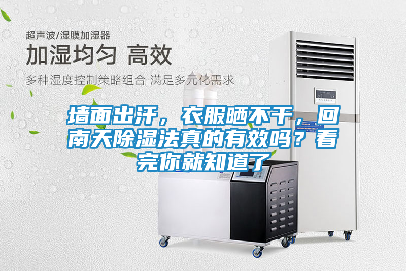 墙面出汗，衣服晒不干，回南天除湿法真的有效吗？看完你就知道了