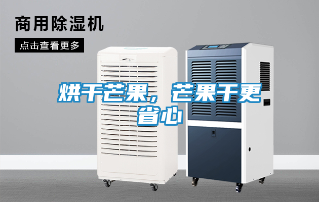 烘干芒果，芒果干更省心
