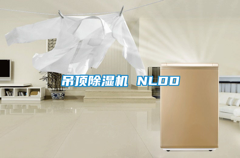 吊顶除湿机 NLDD