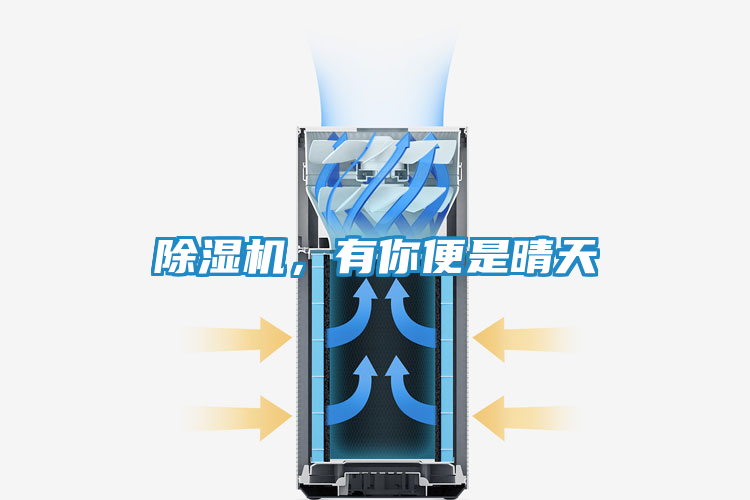 除湿机，有你便是晴天
