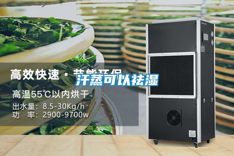 汗蒸可以祛湿