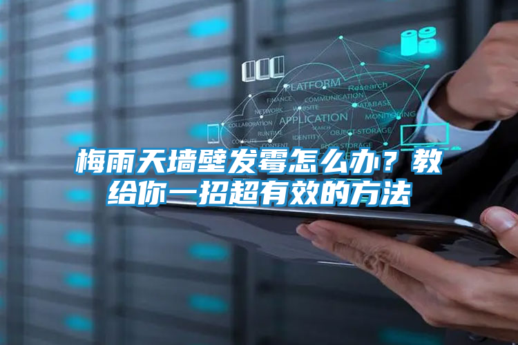 梅雨天墙壁发霉怎么办？教给你一招超有效的方法