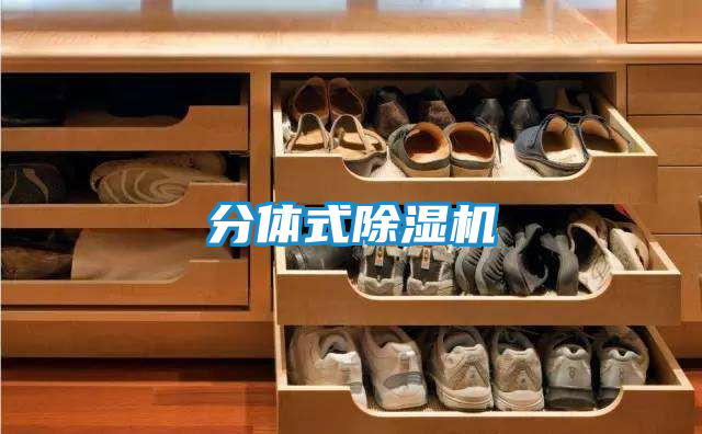 分体式除湿机