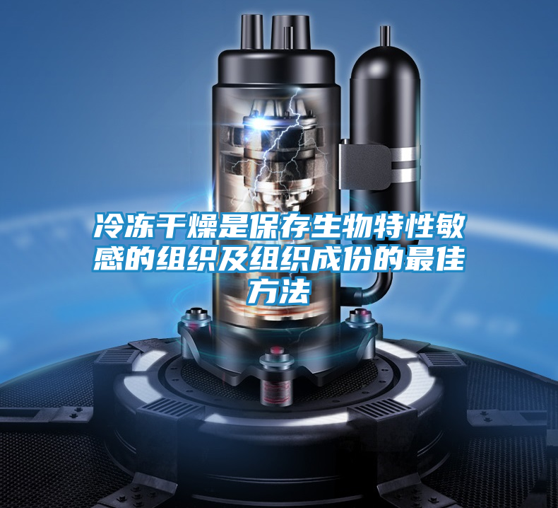 冷冻干燥是保存生物特性敏感的组织及组织成份的最佳方法