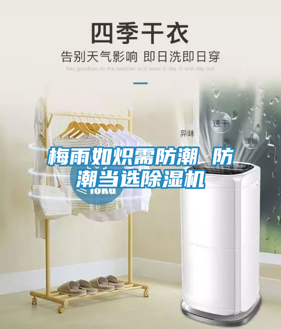 梅雨如炽需防潮 防潮当选除湿机