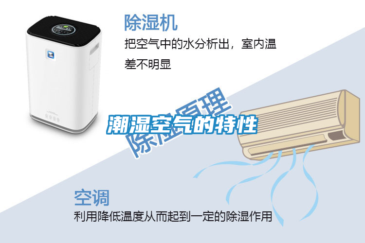 潮湿空气的特性