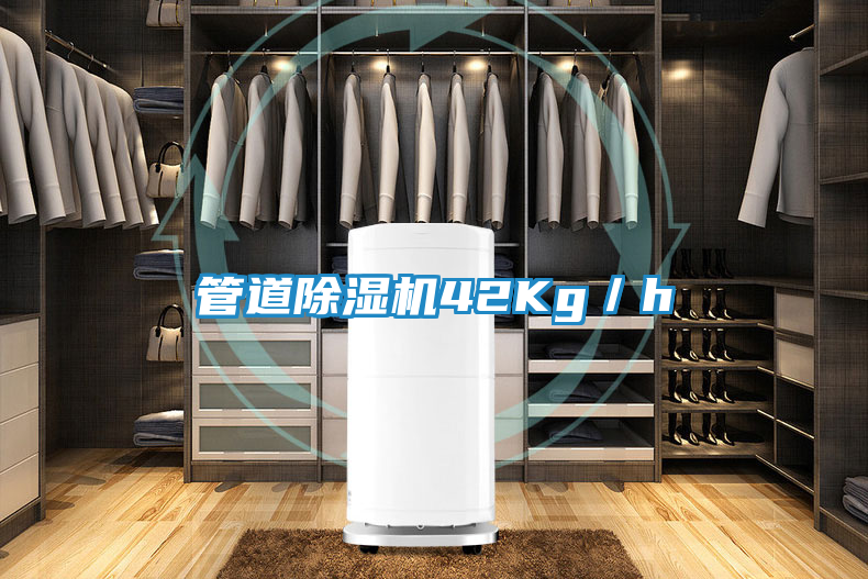 管道除湿机42Kg／h