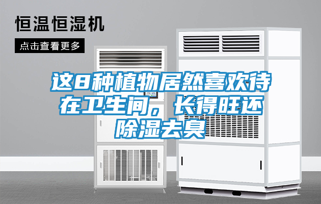 这8种植物居然喜欢待在卫生间，长得旺还除湿去臭
