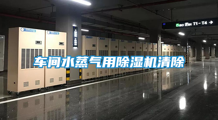 车间水蒸气用除湿机清除