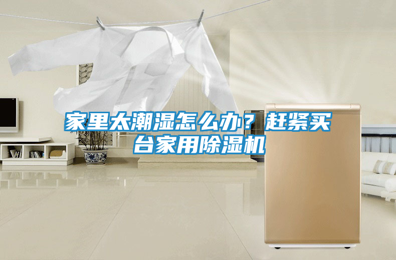 家里太潮湿怎么办？赶紧买台家用除湿机