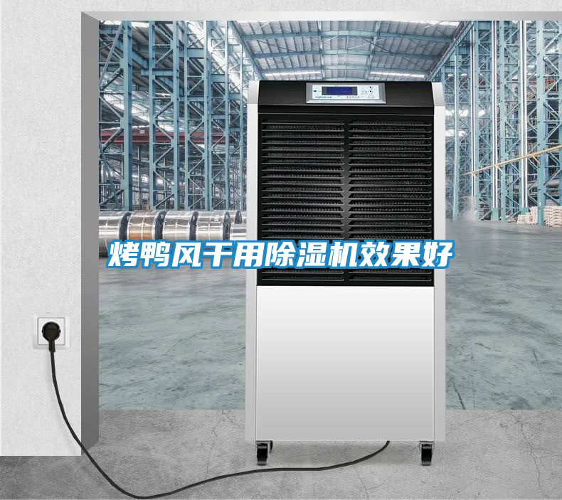 烤鸭风干用除湿机效果好