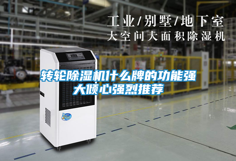 转轮除湿机什么牌的功能强大倾心强烈推荐