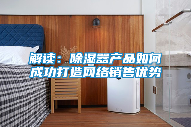 解读：除湿器产品如何成功打造网络销售优势