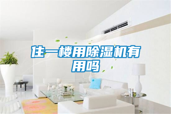 住一楼用除湿机有用吗