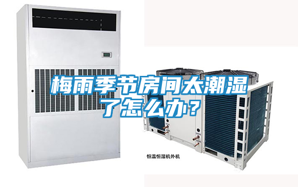 梅雨季节房间太潮湿了怎么办?