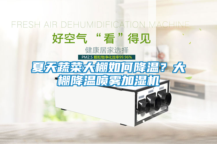 夏天蔬菜大棚如何降温？大棚降温喷雾加湿机