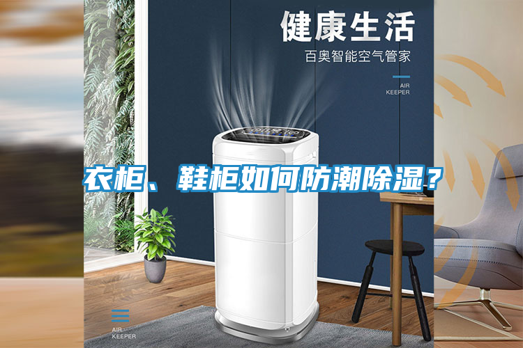 衣柜、鞋柜如何防潮除湿？
