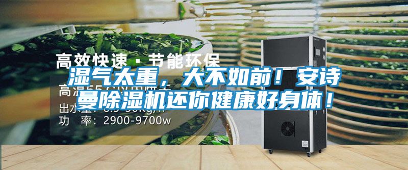 湿气太重，大不如前！安诗曼除湿机还你健康好身体！