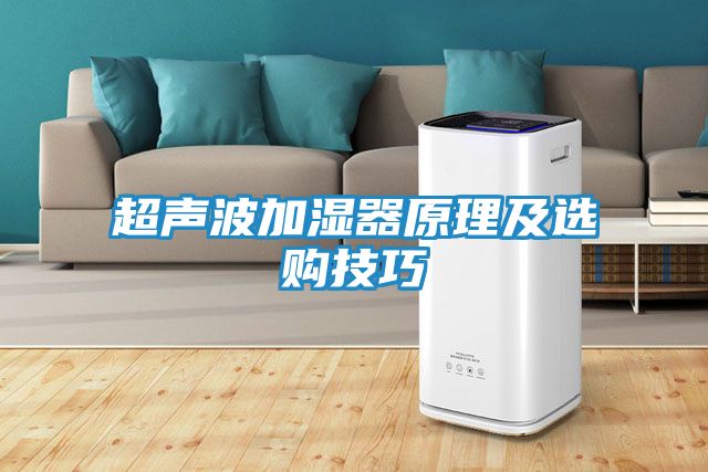 超声波加湿器原理及选购技巧