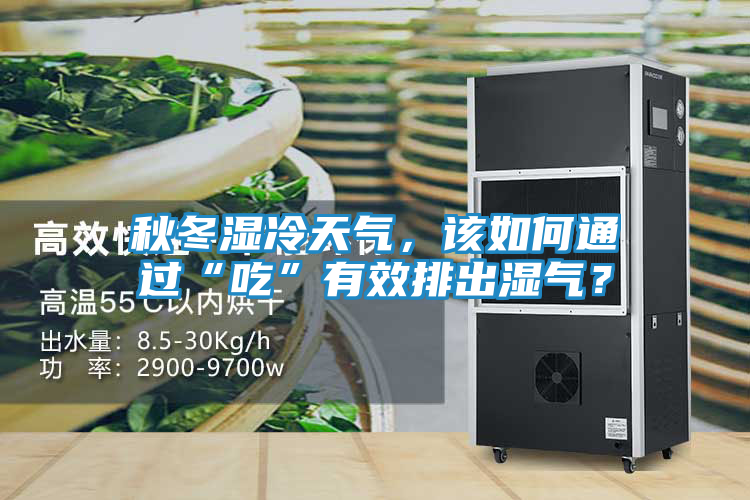 秋冬湿冷天气，该如何通过“吃”有效排出湿气？