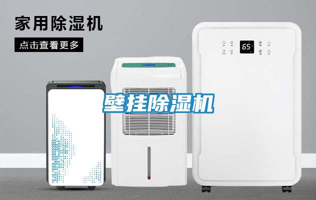 壁挂除湿机