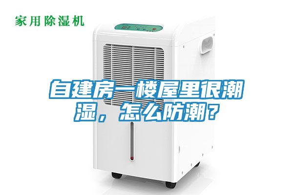 自建房一楼屋里很潮湿，怎么防潮？