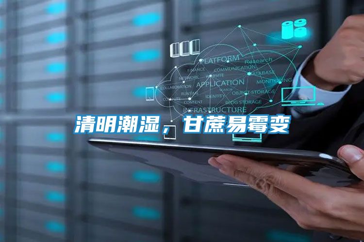 清明潮湿，甘蔗易霉变