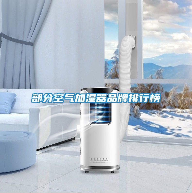 部分空气加湿器品牌排行榜