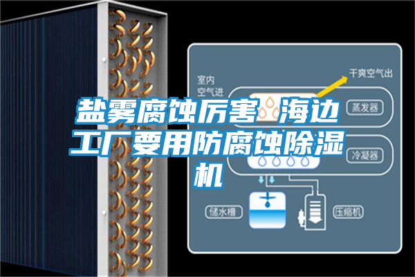 盐雾腐蚀厉害 海边工厂要用防腐蚀除湿机