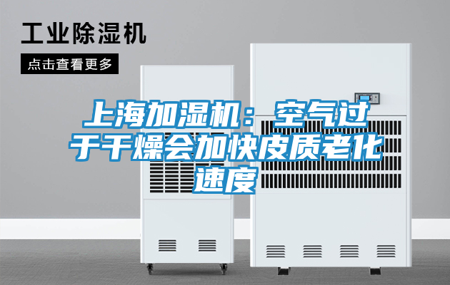 上海加湿机：空气过于干燥会加快皮质老化速度