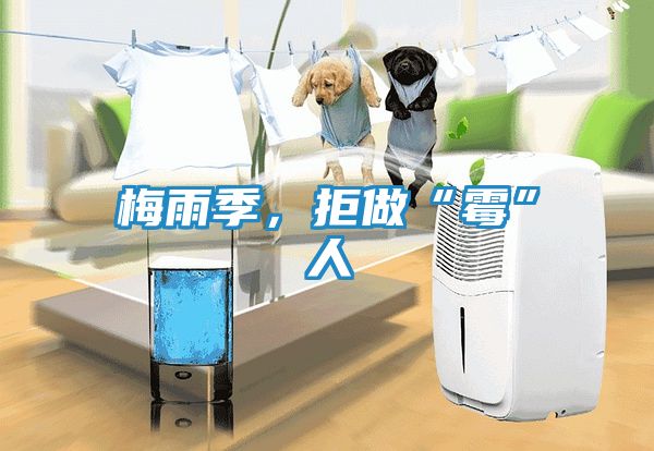 梅雨季，拒做“霉”人