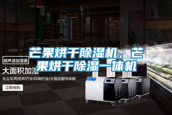 芒果烘干除湿机，芒果烘干除湿一体机
