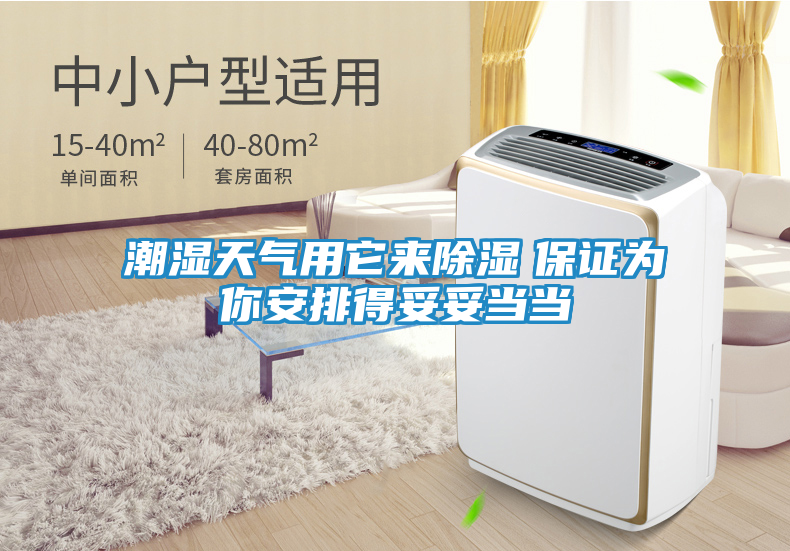 潮湿天气用它来除湿　保证为你安排得妥妥当当