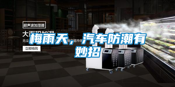 梅雨天,汽车防潮有妙招