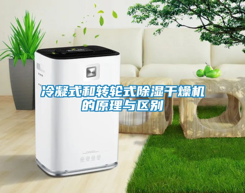冷凝式和转轮式除湿干燥机的原理与区别