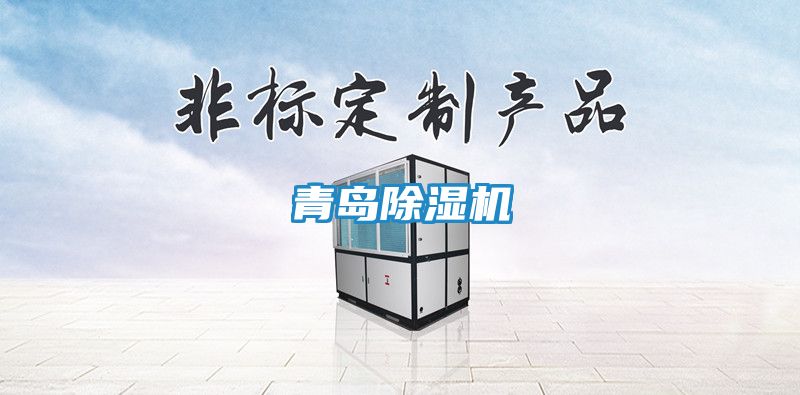 青岛除湿机