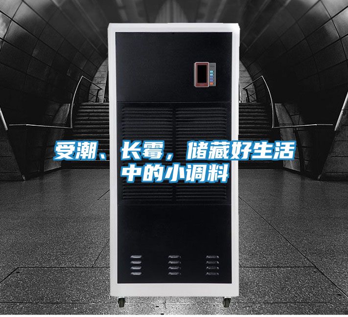 受潮、长霉，储藏好生活中的小调料