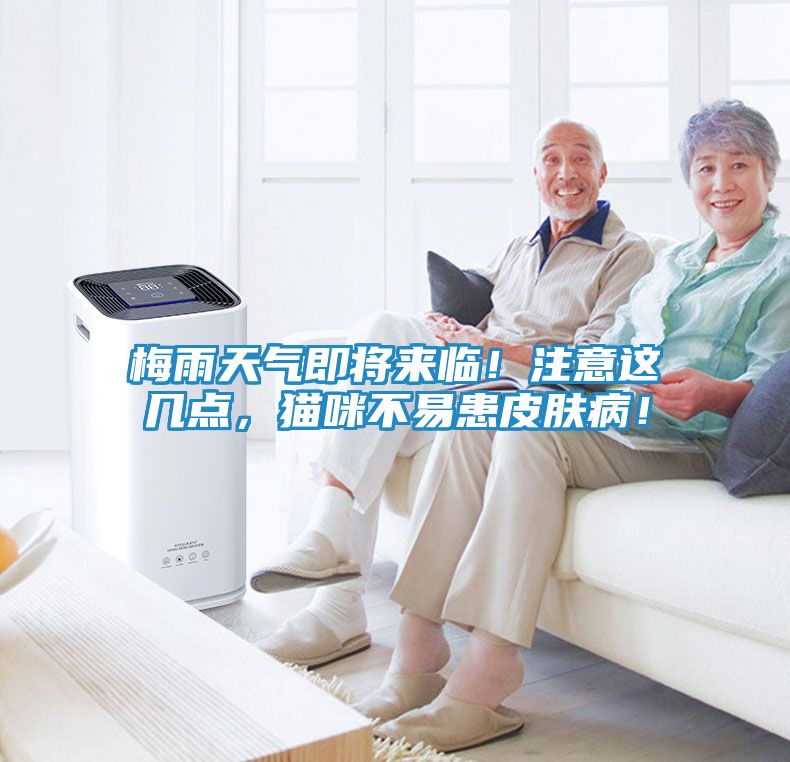 梅雨天气即将来临！注意这几点，猫咪不易患皮肤病！