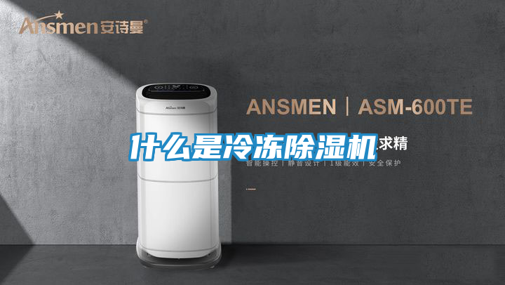 什么是冷冻除湿机