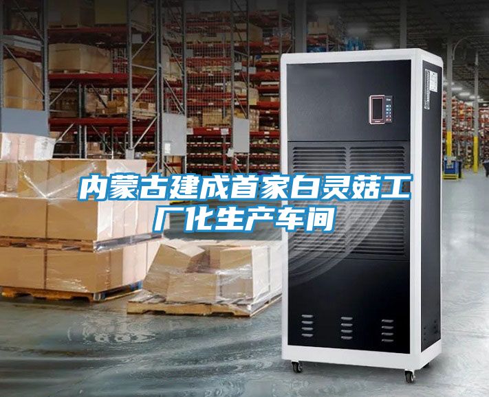 内蒙古建成首家白灵菇工厂化生产车间