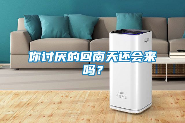你讨厌的回南天还会来吗？