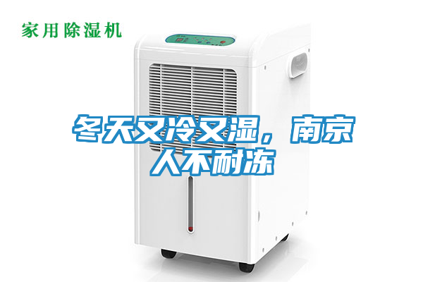 冬天又冷又湿，南京人不耐冻